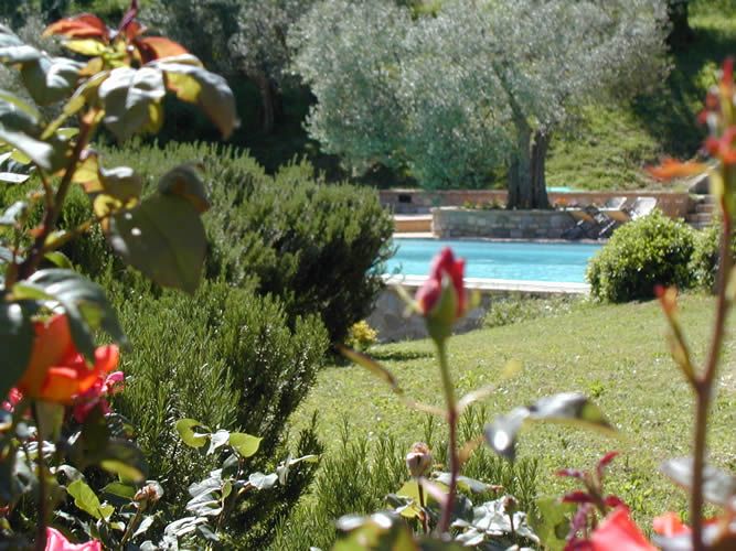 A well-maintained garden with various plants, featuring a swimming pool area visible in the background.