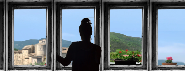 A view from a window showing a green landscape with colorful flowers.