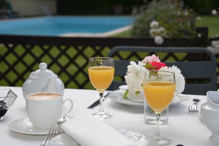 Frühstück im Garten, mit Blick auf den Pool, umgeben von grünen Pflanzen.