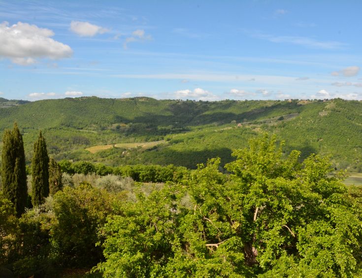 Ein friedliches Panorama des Tales mit Bäumen und sanften Hügeln, umgeben von Natur.