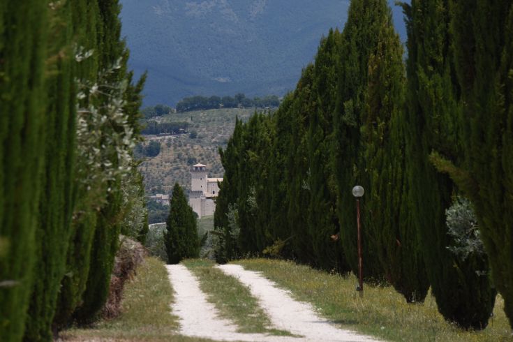 A path surrounded by cypress trees leading to a historic farmhouse, set in the Umbrian nature.