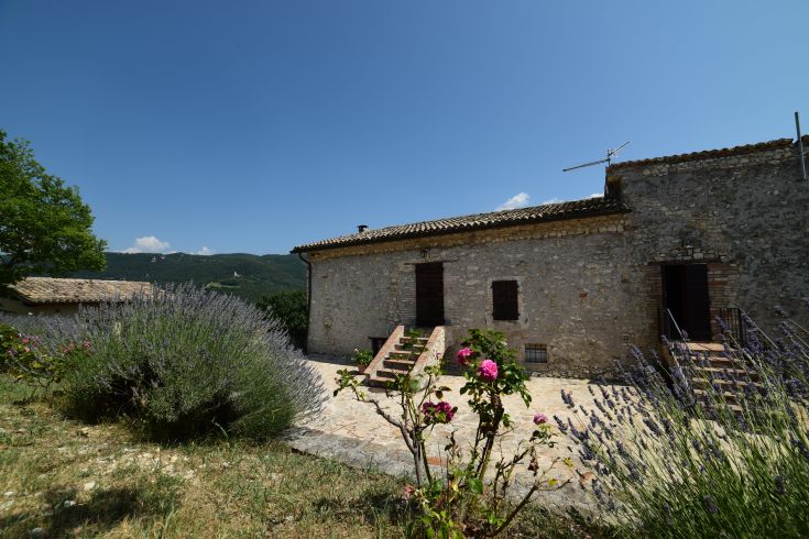 Agritourism surrounded by nature with cozy apartments and a swimming pool. Perfect for a peaceful vacation.