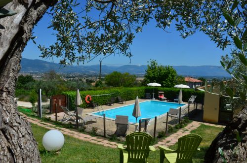 Piscine entourée d'oliviers près du palais Nonna Rana, un endroit idéal pour se détendre.
