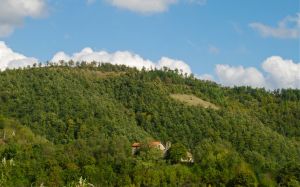 Un paesaggio collinare con una casa circondata da una vegetazione abbondante e pacifica.