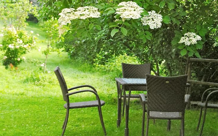 Un angolo di relax circondato da vegetazione, con sedie e un tavolo in un contesto tranquillo.