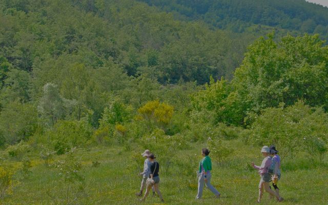 Un gruppo di persone passeggia in un'area verde, immerso nel paesaggio naturale circostante.