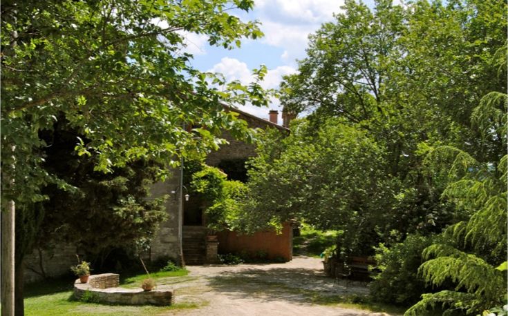 Un angolo sereno della Casa della Pace circondato dalla natura. Ottimo per momenti di riflessione.