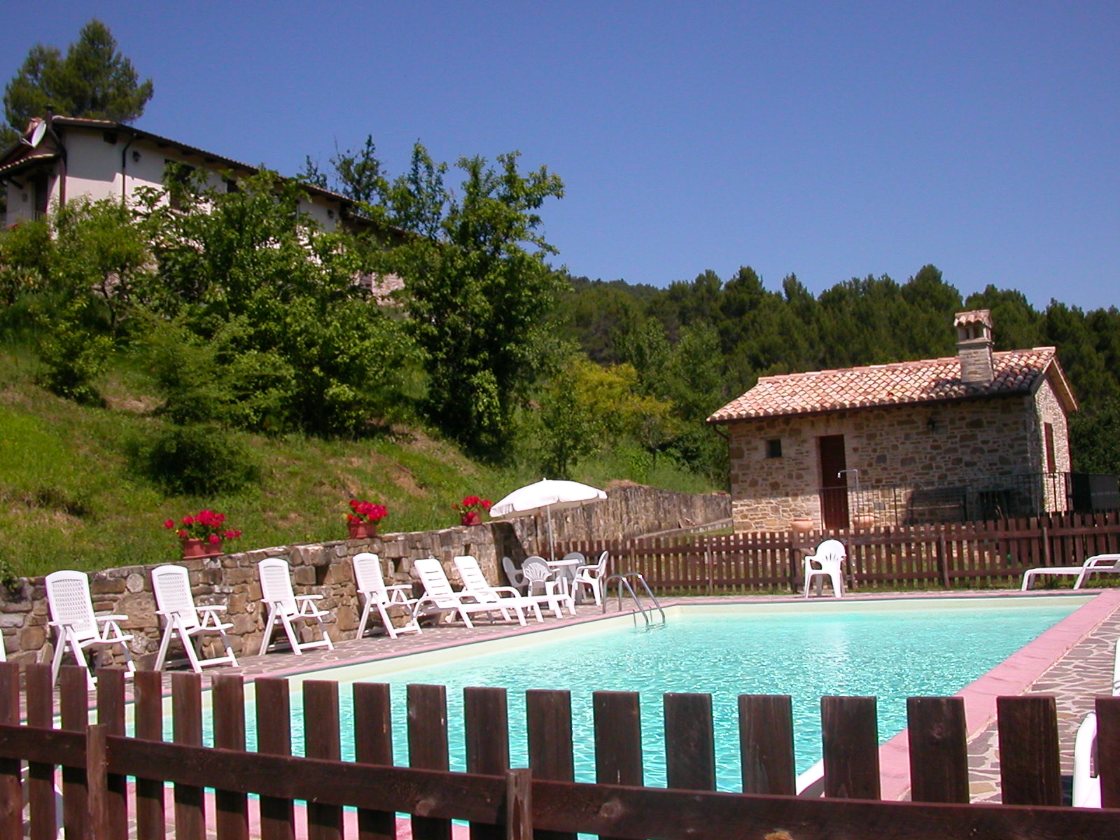 Una piscina immersa nel verde, dotata di lettini e panorami tranquilli sulla natura circostante.