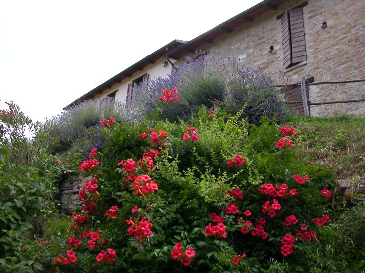 Un paysage d'une ferme entourée d'un jardin avec des fleurs et des plantes parfumées.