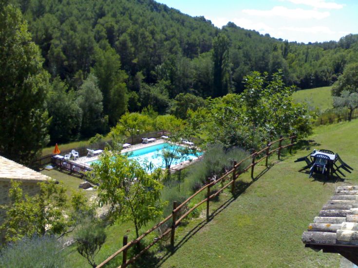 Une scène montrant une piscine nichée dans la verdure, entourée d'arbres et de végétation luxuriante.