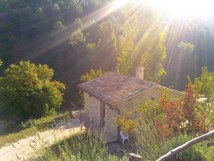 Une maison en pierre intégrée dans son environnement, entourée de plantes et éclairée par la lumière du soleil.