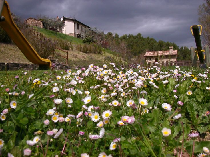 Une zone verte avec des fleurs et des équipements de jeu, idéale pour des moments de loisirs et de détente en famille.