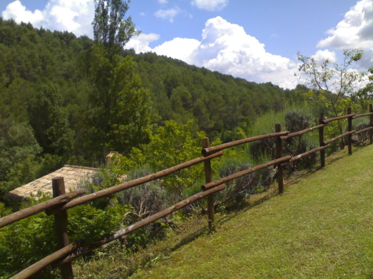 Une scène collineuse avec une clôture en bois et des plantes vertes en arrière-plan.
