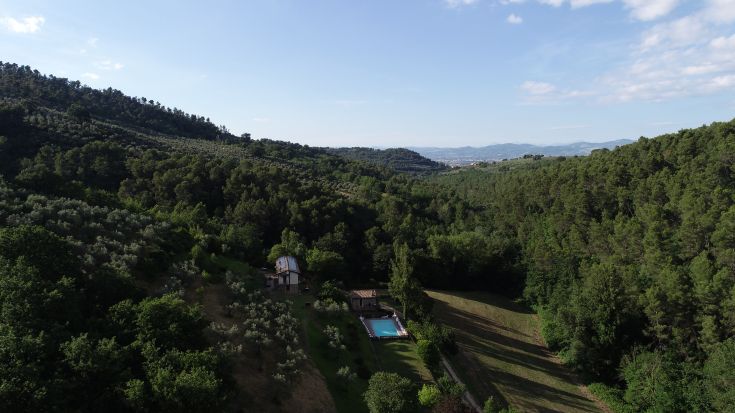 Une scène tranquille sur une colline verte avec une piscine entourée de végétation.