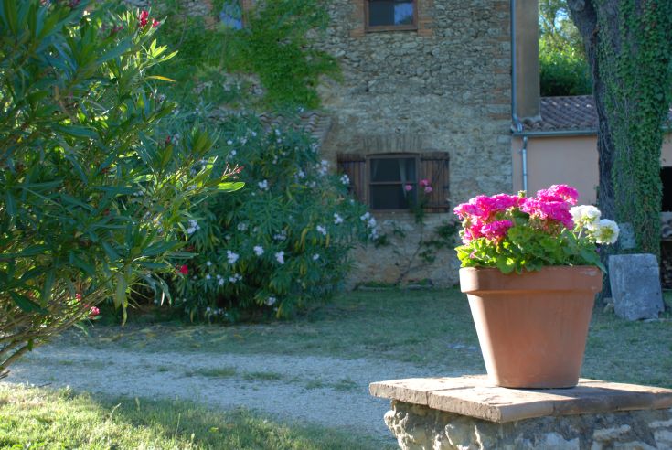 Fiori variopinti in un vaso su un muretto, circondati da verde e un casale rustico sullo sfondo.
