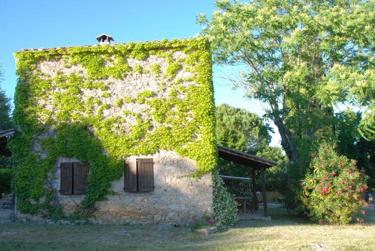 Un edificio circondato da piante verdi, che offre un'atmosfera di calma.