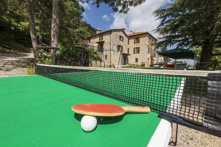 Una tavola da ping pong all'aperto circondata da vegetazione, con racchette e palline pronte per giocare.
