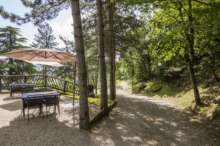 Uno spazio tranquillo circondato da vegetazione, con tavoli all'aperto e ombrelloni posizionati sotto gli alberi.