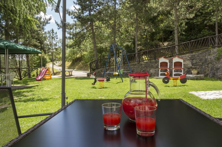 Uno spazio esterno con bevande rinfrescanti e giochi per bambini, circondato dalla natura.