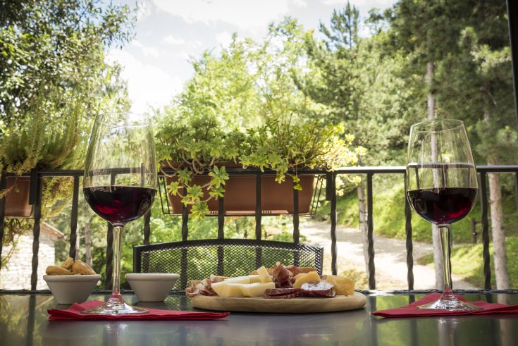 Due bicchieri di vino rosso con un assortimento di formaggi e salumi, immersi nella natura.