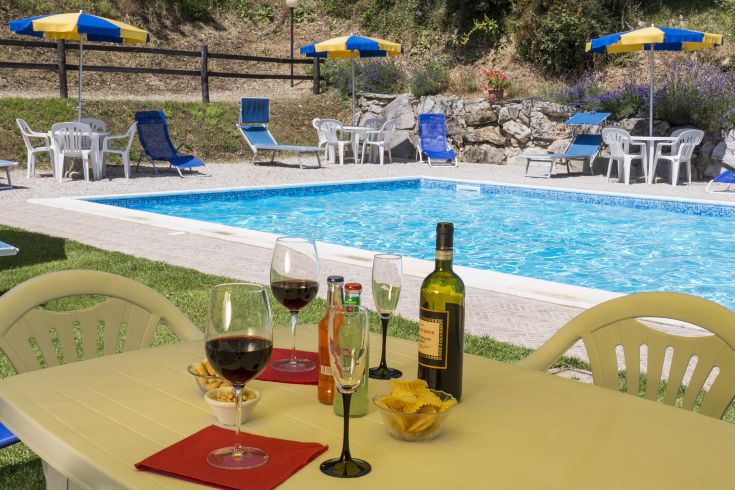 Goditi momenti di relax a bordo piscina con vino e snack, circondato dalla natura.