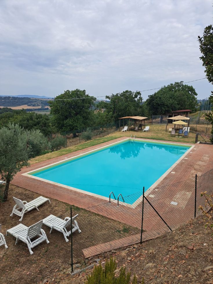 Una piscina circondata da alberi e piante, con lettini e gazebo, adatta per momenti di relax all'aperto.