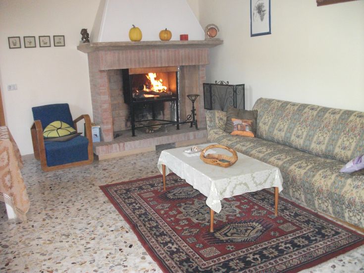 A practical living room with a fireplace and well-maintained furniture in a building on a hill.
