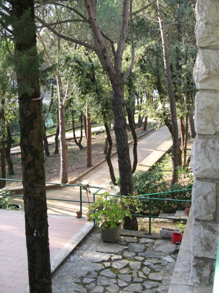 Garden of a villa surrounded by pines and oaks, located in a tranquil and green area, perfect for a relaxed stay.
