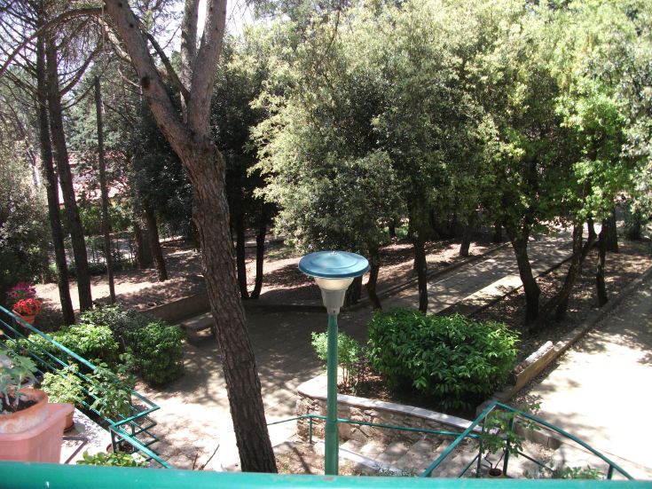 A serene garden with trees and pathways, ideal for a relaxing outdoor stroll.