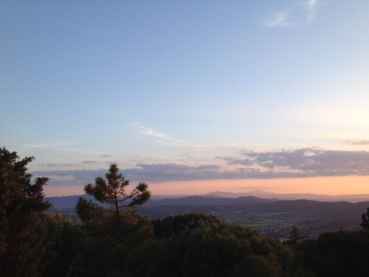 Villa surrounded by greenery, offering a peaceful view perfect for a relaxing break.