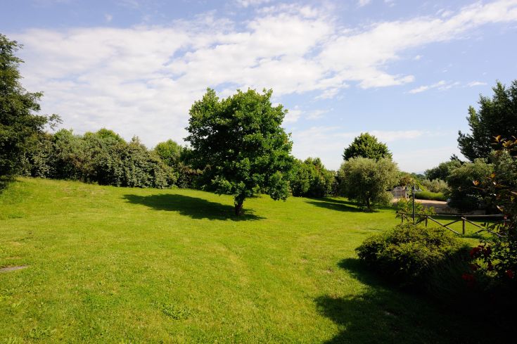 Ein gepflegter Garten mit Bäumen und klarem Himmel, ideal für Momente der Ruhe.