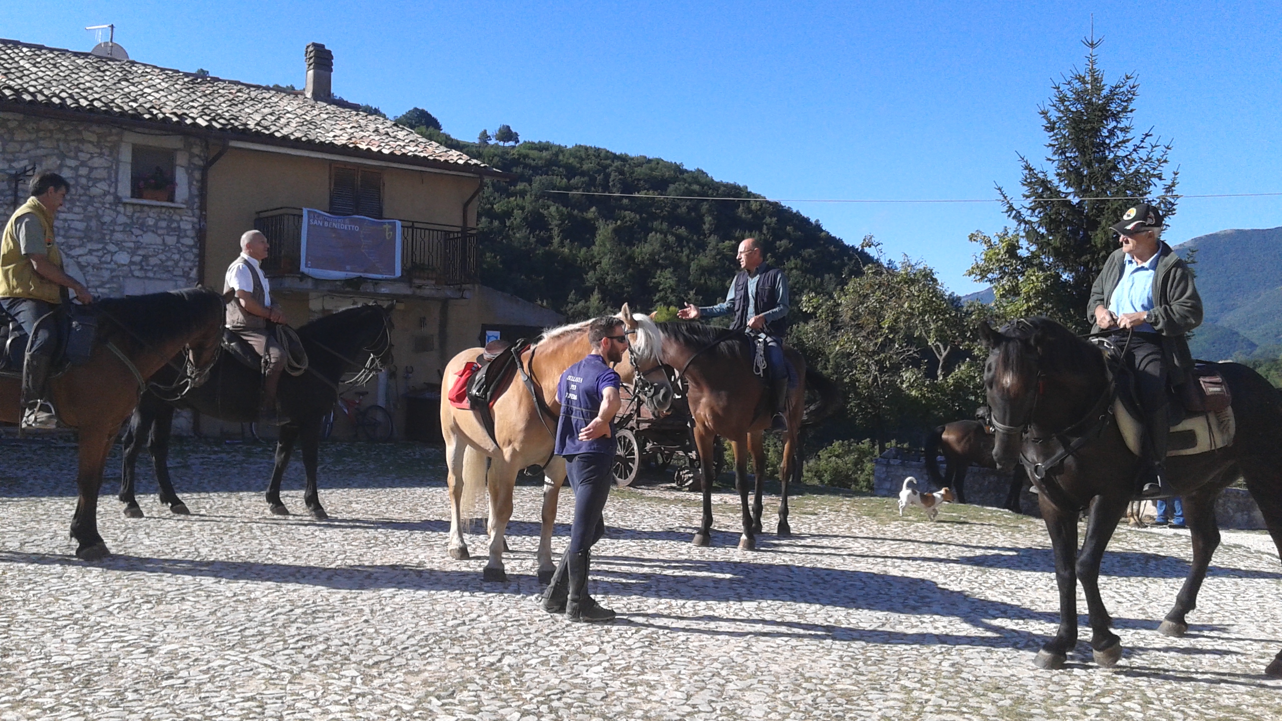 Riunione di cavalieri in un paesaggio montano tranquillo e verdeggiante.
