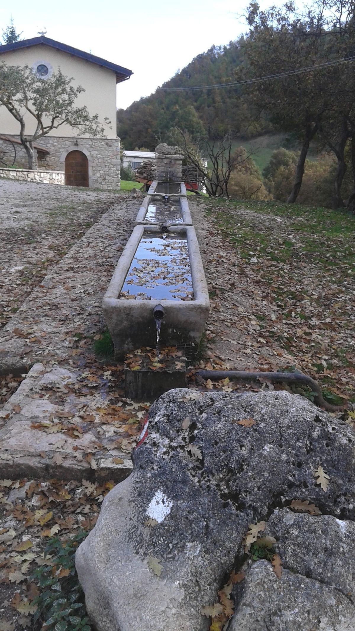 A rural fountain surrounded by plants and nature, a serene spot for a relaxing break.