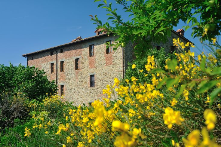 Ferme entourée d'oliviers et de fleurs jaunes dans le paysage ombreux, idéale pour des vacances reposantes.