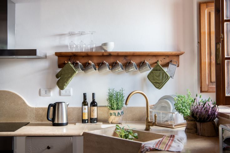 Une cuisine moderne et bien organisée, avec des plantes aromatiques et de la vaisselle soigneusement disposée.