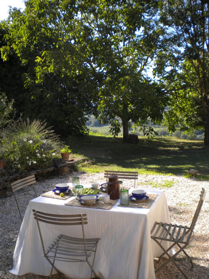 An outdoor dining setup with a table surrounded by greenery in a peaceful environment.