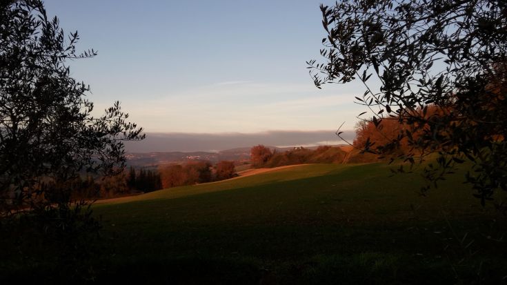 Serene panorama of green hills and clear sky at sunset.