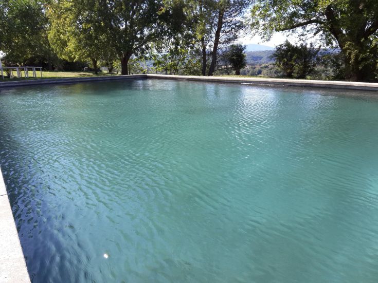 A modern pool surrounded by trees and plants, perfect for relaxing in the tranquility of nature.