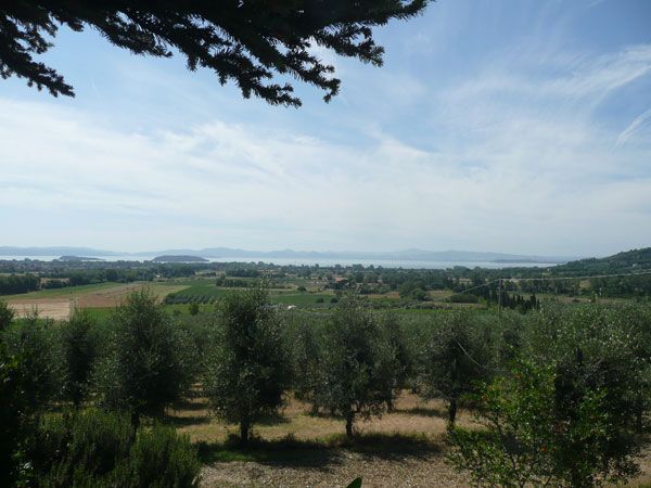 Panorama delle dolci colline e del Lago, circondato da una vegetazione rigogliosa.