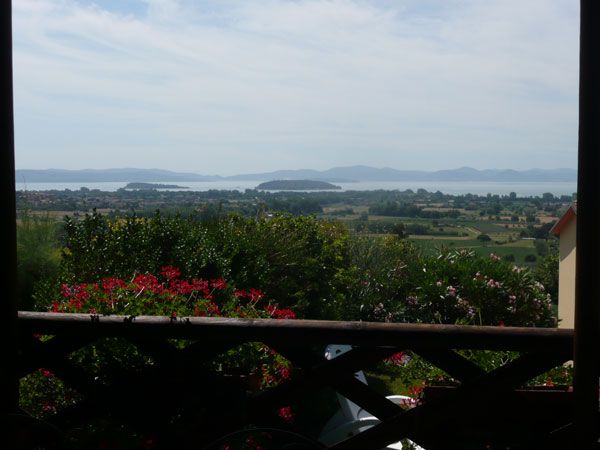 Scenari sul Lago Trasimeno con fiori dai colori vivaci in primo piano.
