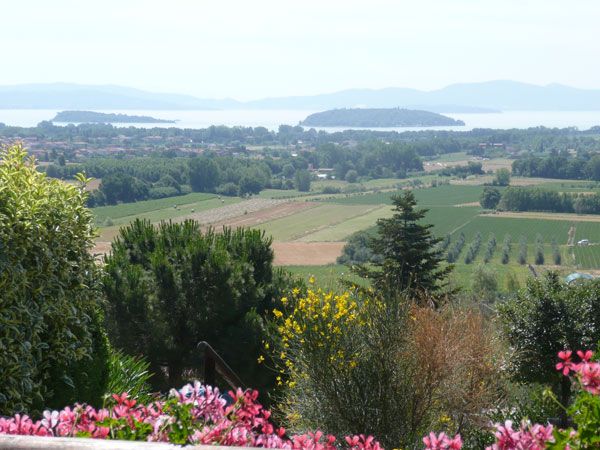Panorama delle colline intorno al Lago Trasimeno, con vegetazione verde e fiori nei dintorni.