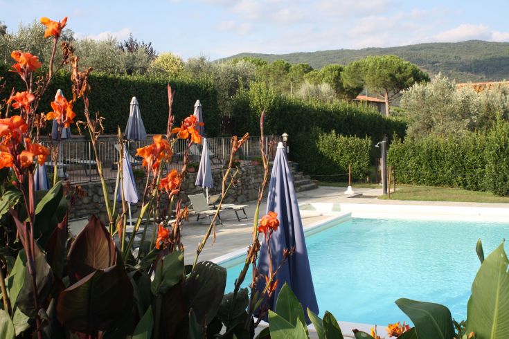 Una piscina immersa nella vegetazione, circondata da piante fiorite che creano un'atmosfera serena.