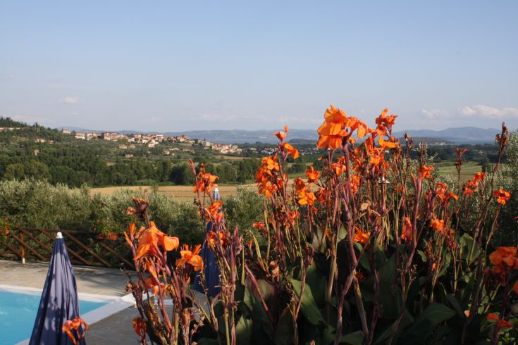 Fiori arancioni e dolci colline che si affacciano sul Lago Trasimeno, in un contesto sereno.