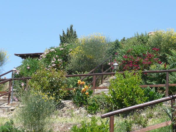 Un'area verde con diverse piante floreali e un gazebo, un angolo di natura e serenità.