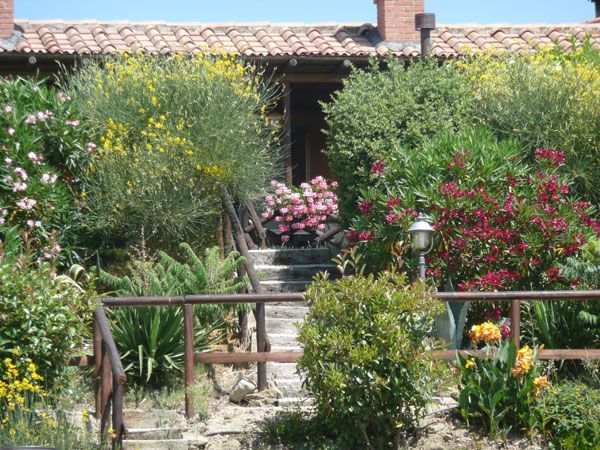 Nel giardino, vari fiori colorati si intrecciano con il verde, creando uno spazio piacevole e armonioso.