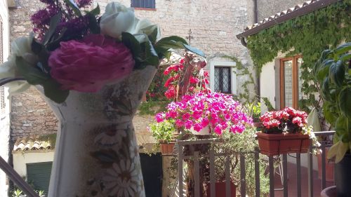 Vase métallique avec des fleurs vives dans une cour remplie de diverses plantes et fleurs.