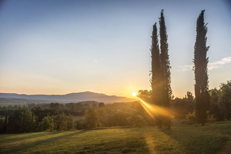 Un'alba serena in un paesaggio collinare con cipressi all'orizzonte.