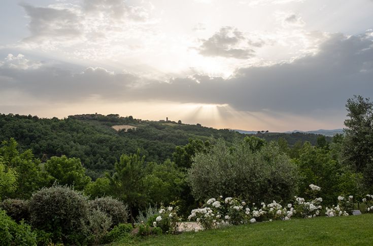 Scène de colline avec des jardins fleuris, illuminée par la lumière du soleil.