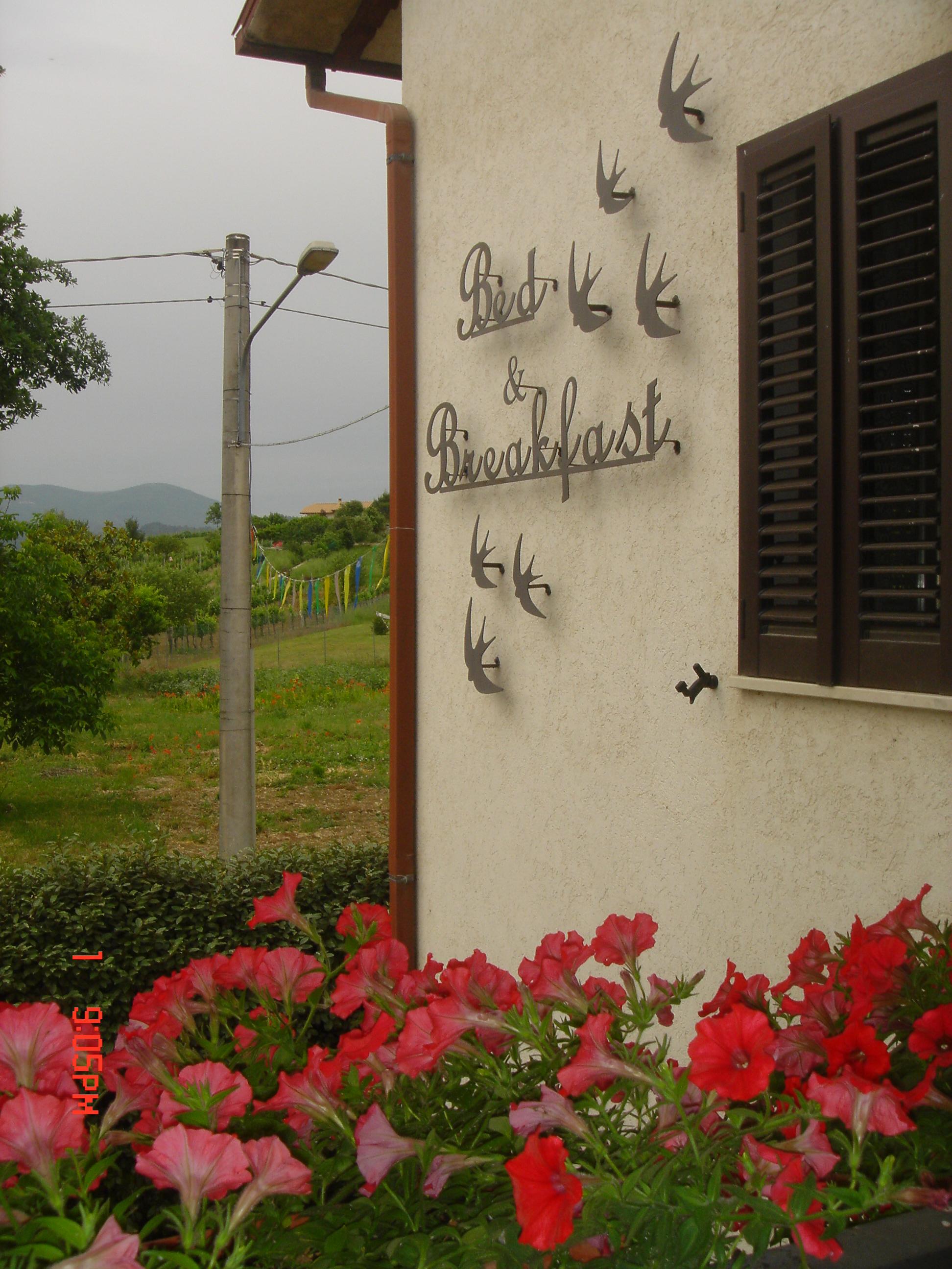 Un B&B tranquillo con decorazioni a tema di rondini, piante e un'atmosfera rilassante.