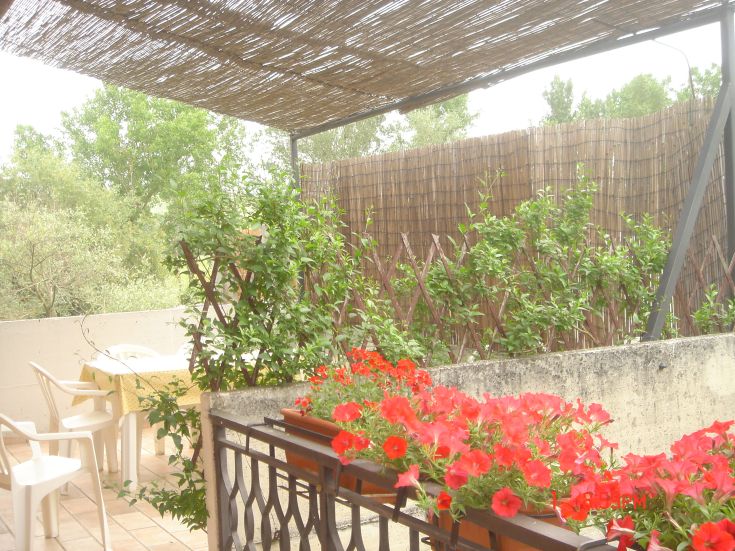 Terrasse avec des plantes et une table, entourée de verdure, parfaite pour des moments de détente.